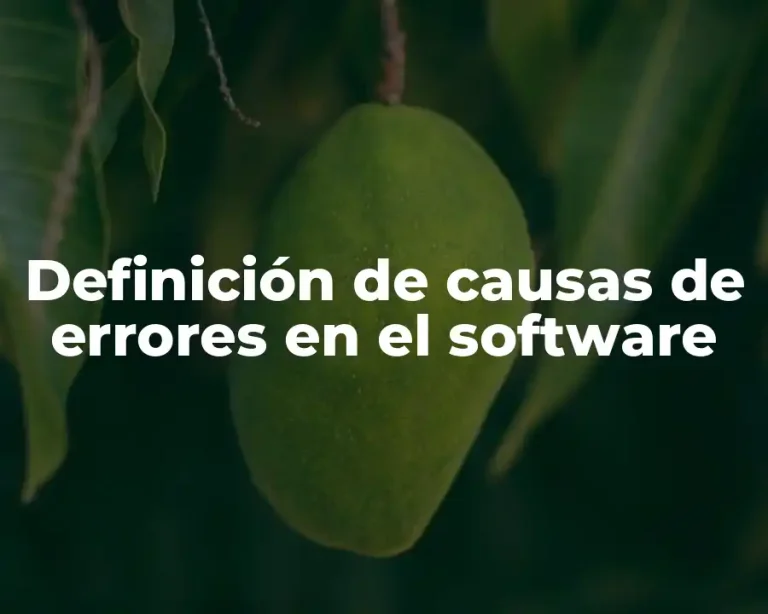 Definición de causas de errores en el software