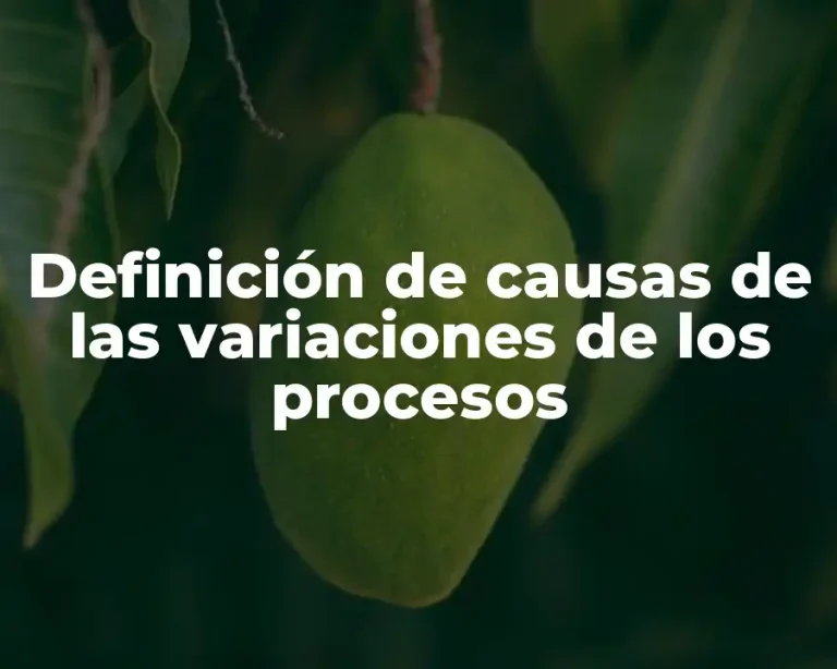 Definición de causas de las variaciones de los procesos