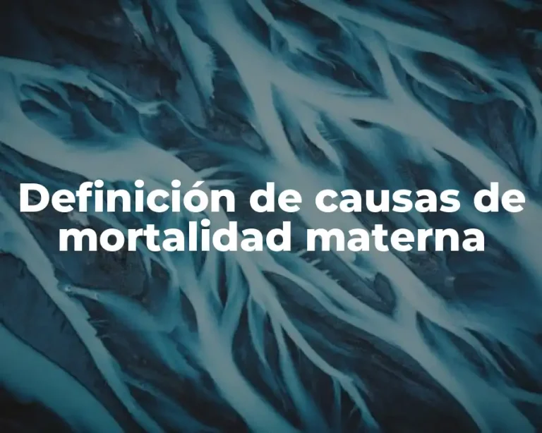Definición de causas de mortalidad materna