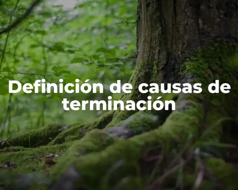 Definición de causas de terminación