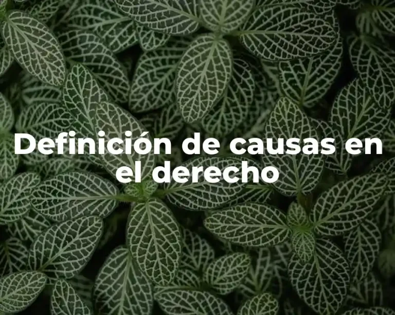 Definición de causas en el derecho