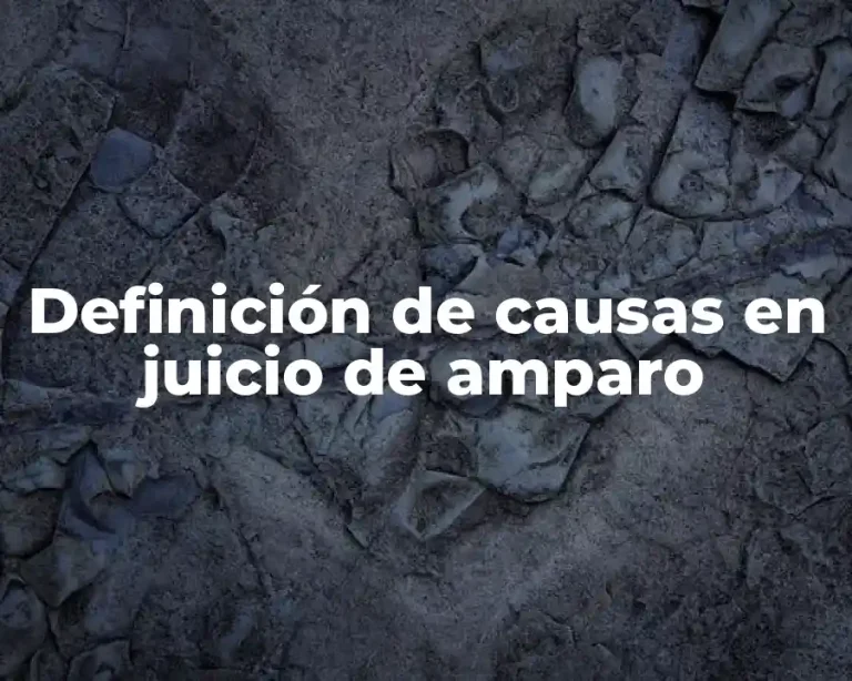 Definición de causas en juicio de amparo