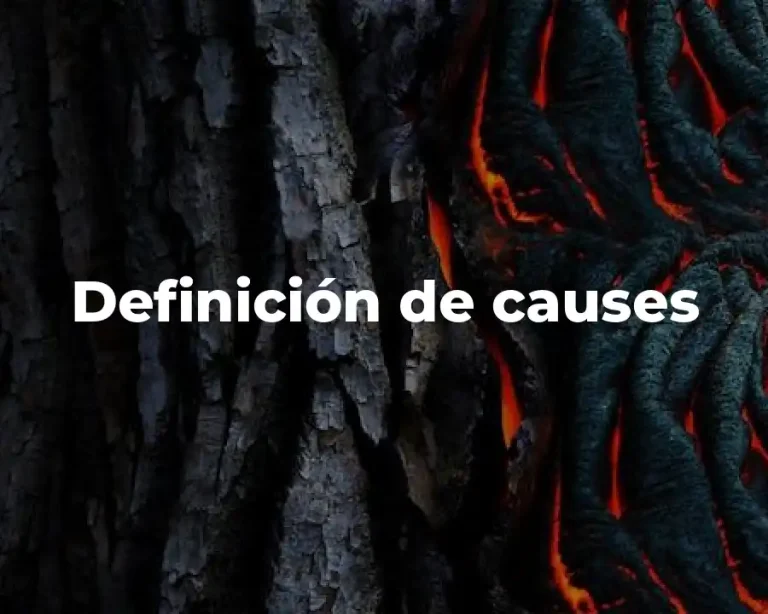 Definición de causes
