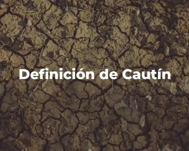 Definición de Cautín