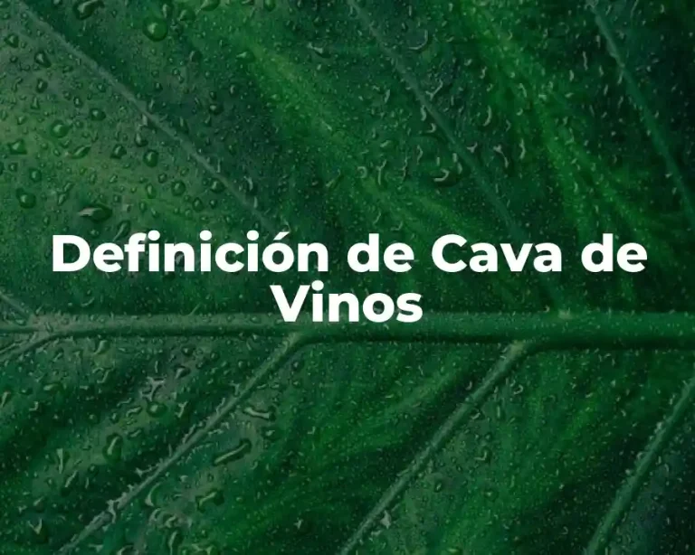 Definición de Cava de Vinos