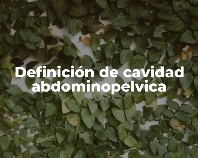 Definición de cavidad abdominopelvica