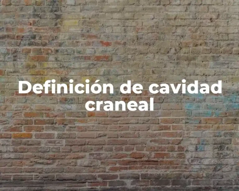 Definición de cavidad craneal