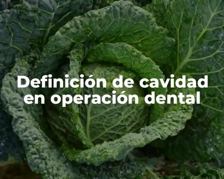 Definición de cavidad en operación dental
