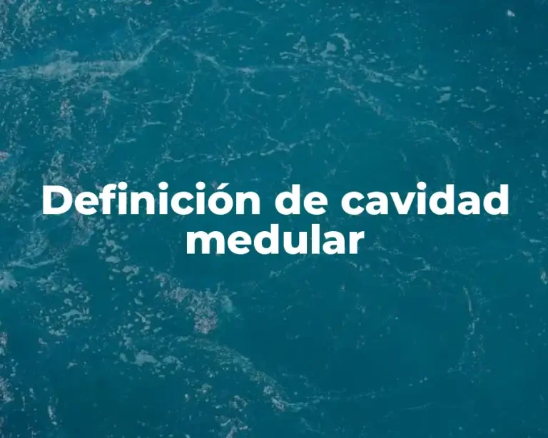 Definición de cavidad medular