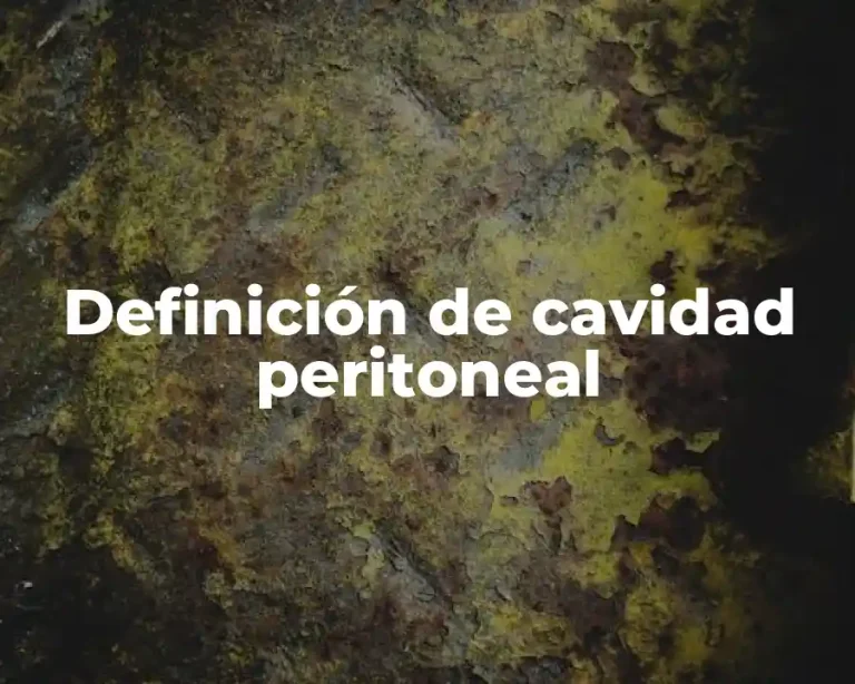 Definición de cavidad peritoneal