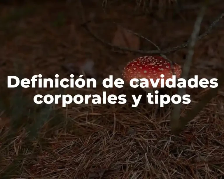 Definición de cavidades corporales y tipos