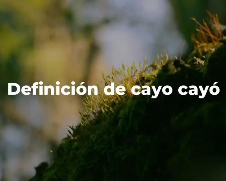 Definición de cayo cayó