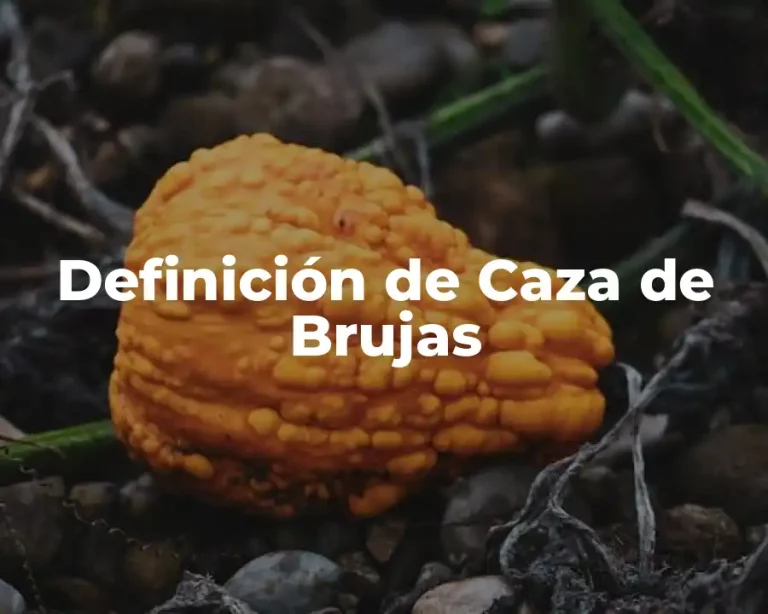 Definición de Caza de Brujas