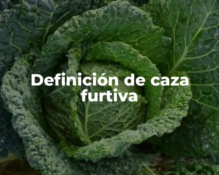 Definición de caza furtiva