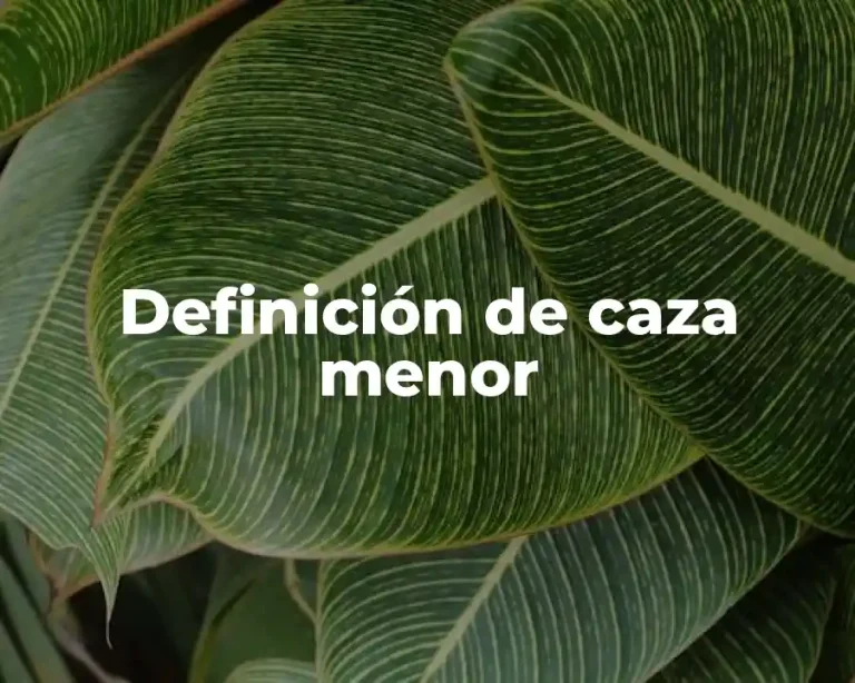 Definición de caza menor