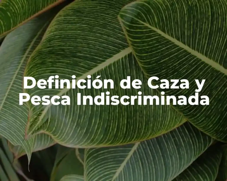 Definición de Caza y Pesca Indiscriminada
