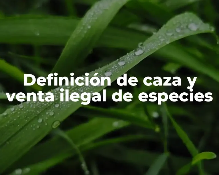 Definición de caza y venta ilegal de especies