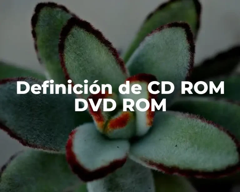 Definición de CD ROM DVD ROM