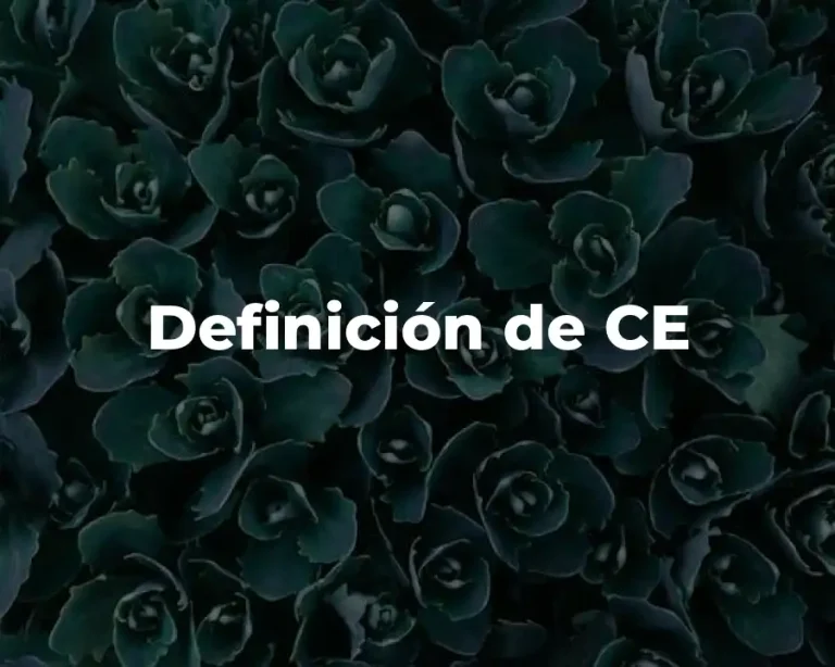 Definición de CE