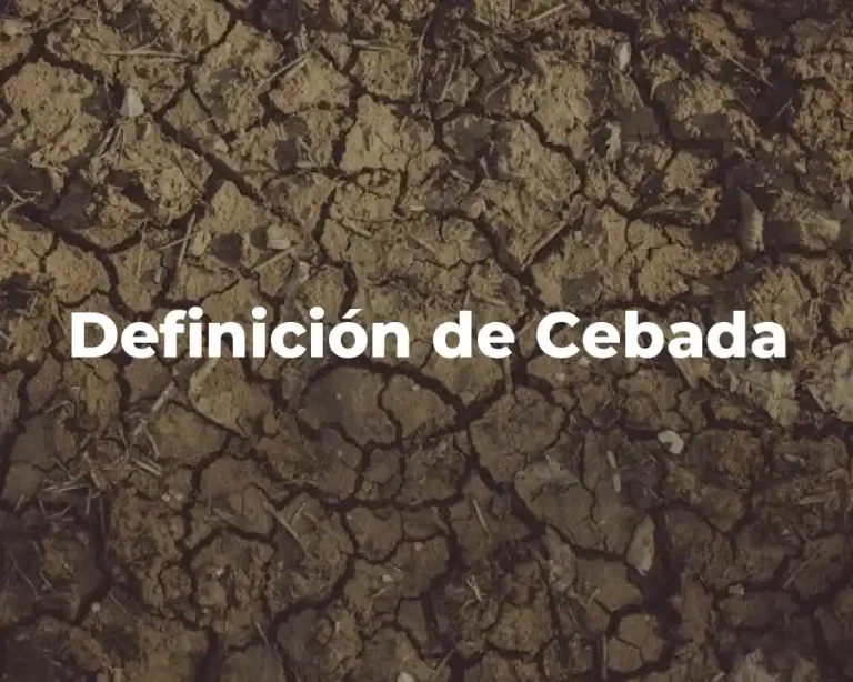 Definición de Cebada