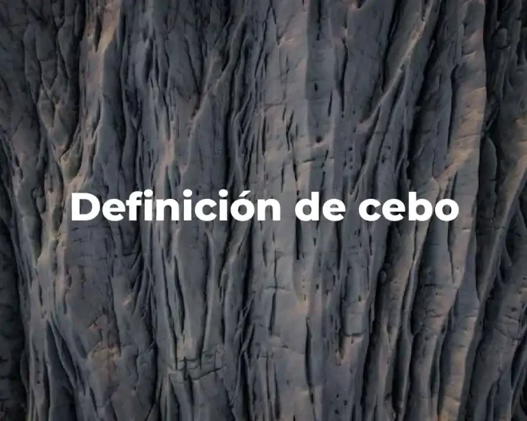 Definición de cebo
