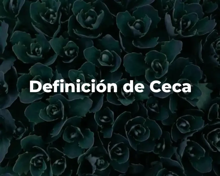 Definición de Ceca