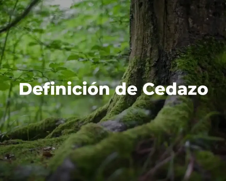 Definición de Cedazo