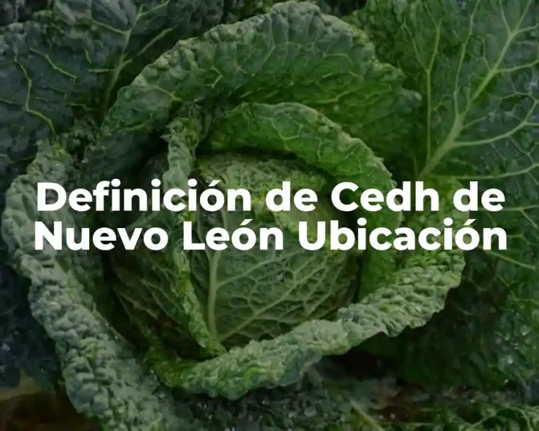 Definición de Cedh de Nuevo León Ubicación
