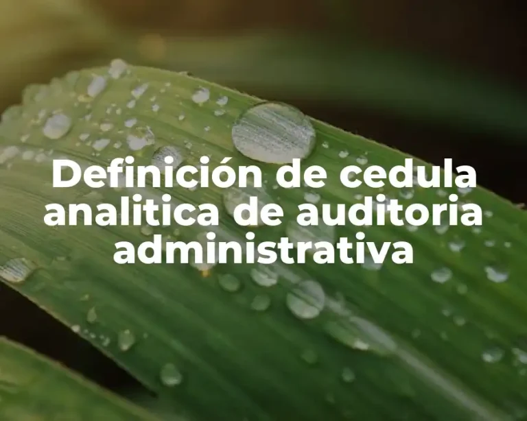Definición de cedula analitica de auditoria administrativa