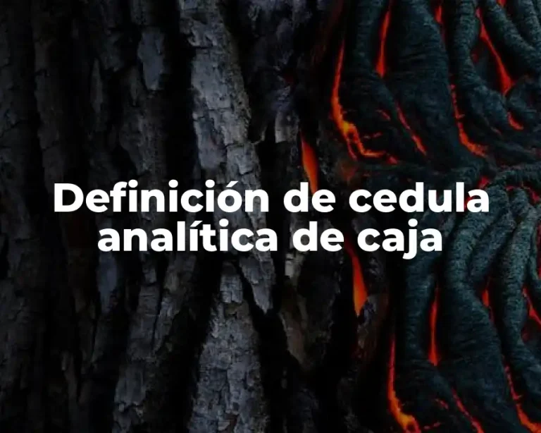 Definición de cedula analítica de caja
