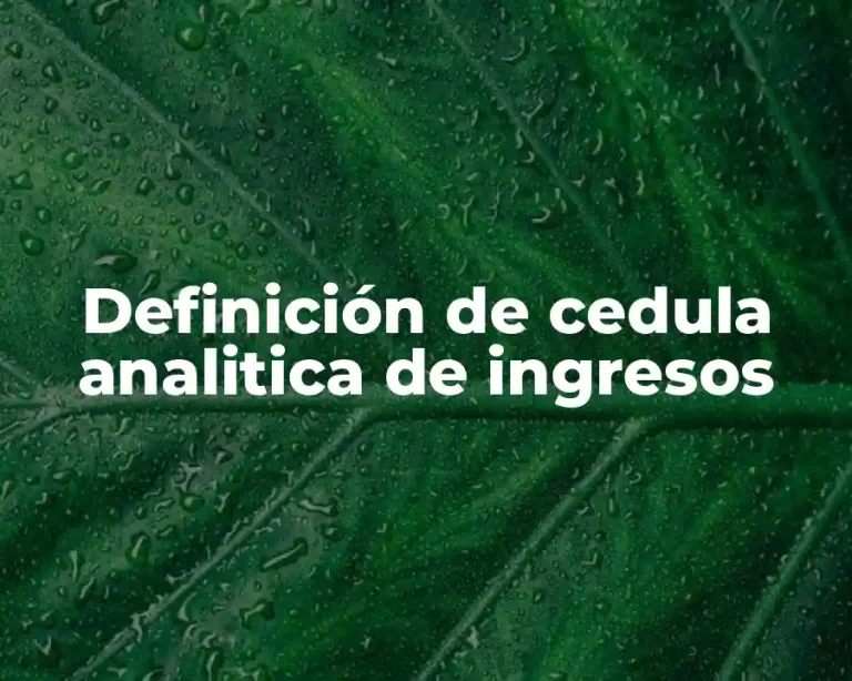 Definición de cedula analitica de ingresos