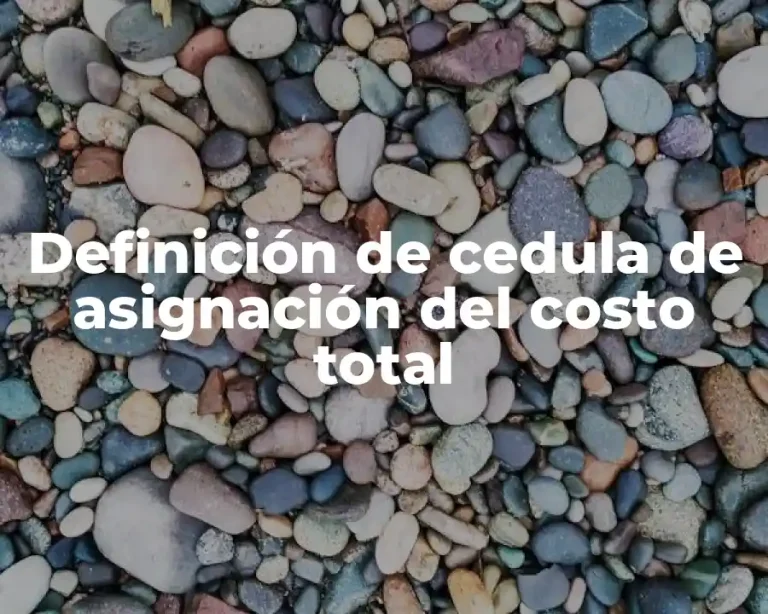 Definición de cedula de asignación del costo total