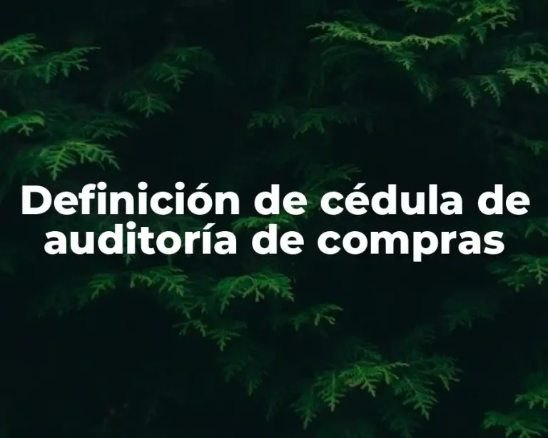 Definición de cédula de auditoría de compras