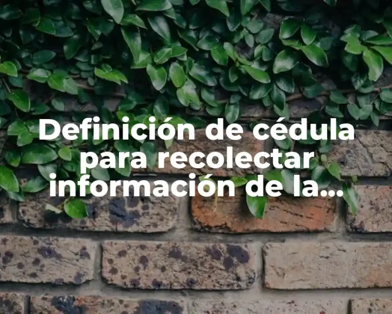 Definición de cédula para recolectar información de la filosofía