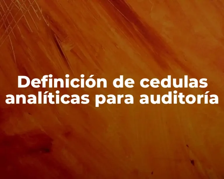 Definición de cedulas analíticas para auditoría