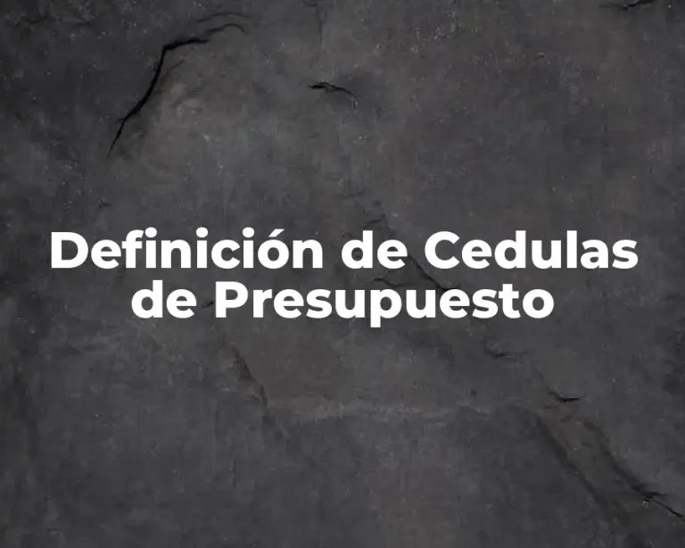 Definición de Cedulas de Presupuesto