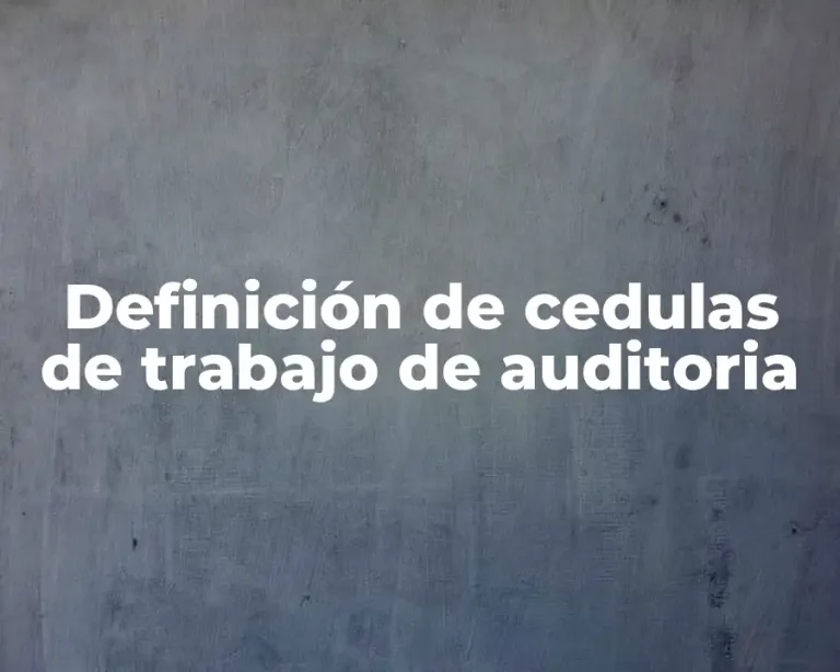 Definición de cedulas de trabajo de auditoria