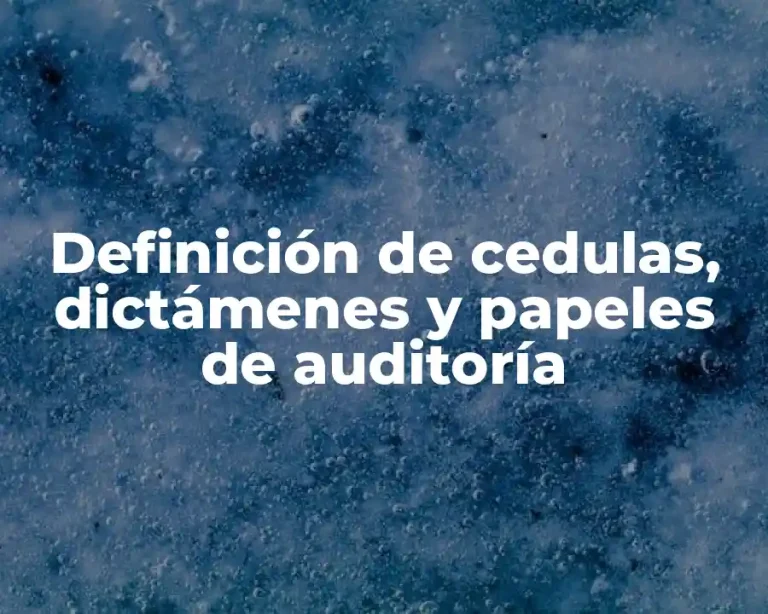 Definición de cedulas, dictámenes y papeles de auditoría