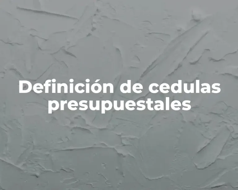 Definición de cedulas presupuestales
