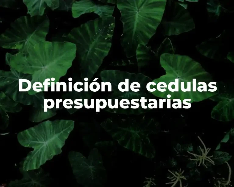 Definición de cedulas presupuestarias