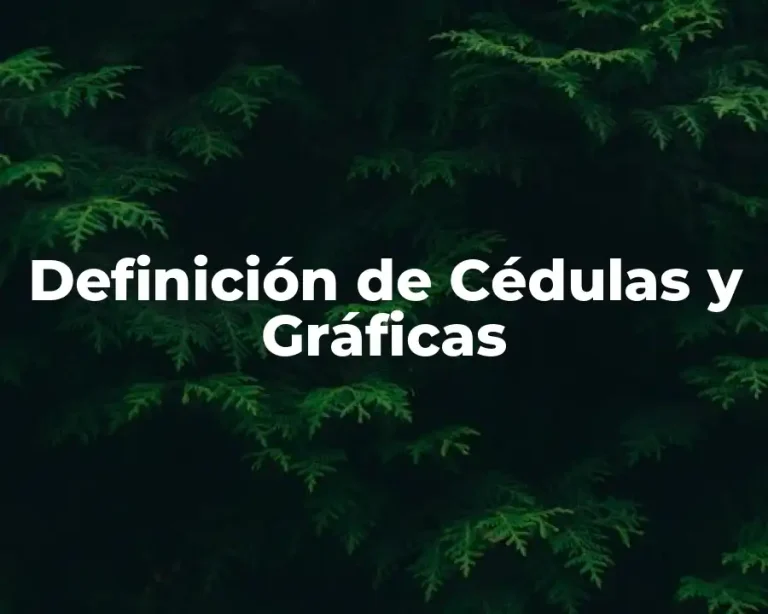 Definición de Cédulas y Gráficas