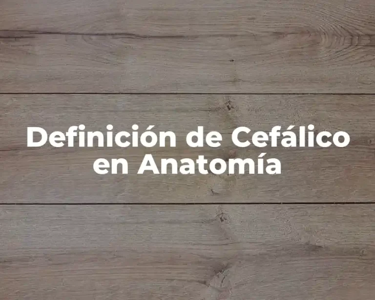 Definición de Cefálico en Anatomía