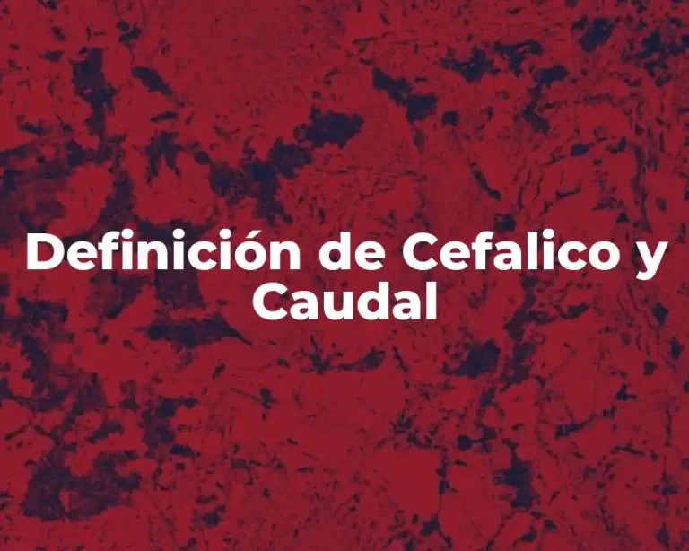 Definición de Cefalico y Caudal