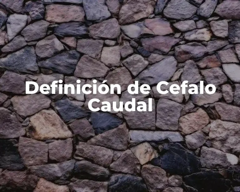 Definición de Cefalo Caudal