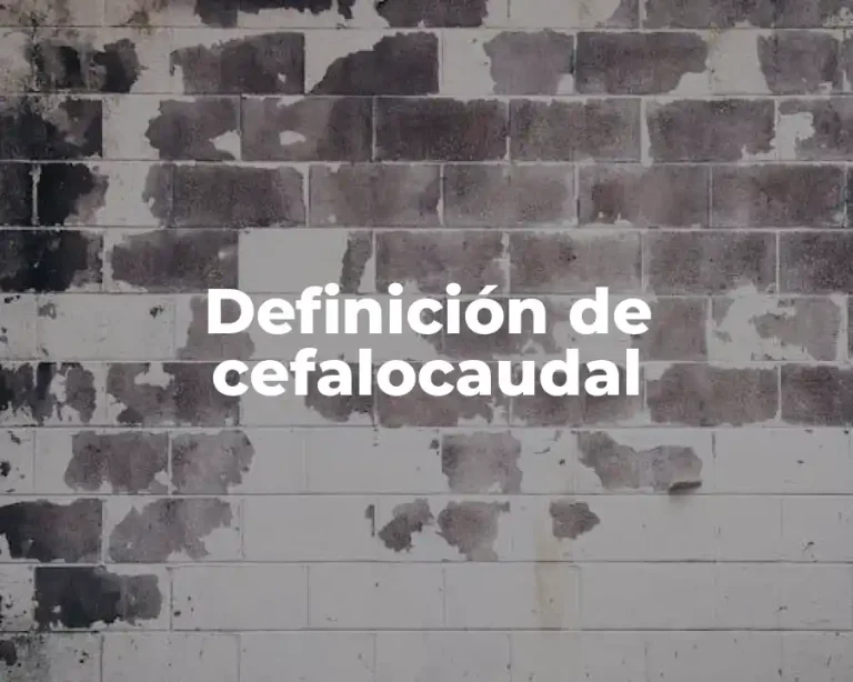 Definición de cefalocaudal