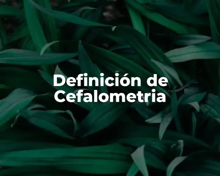 Definición de Cefalometria