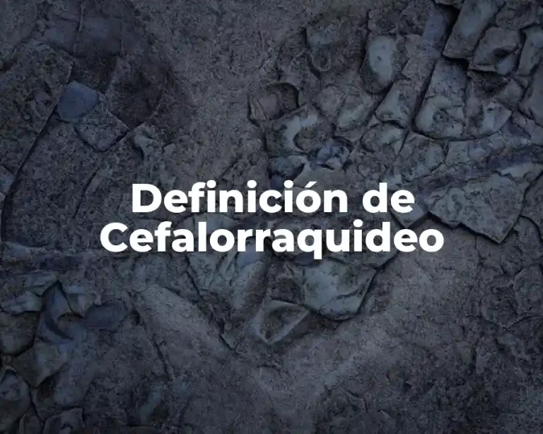 Definición de Cefalorraquideo