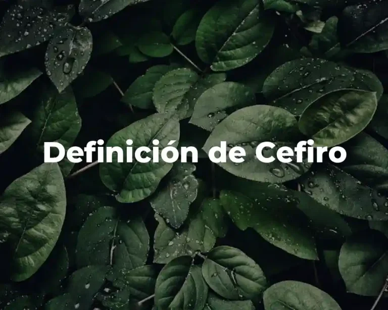 Definición de Cefiro