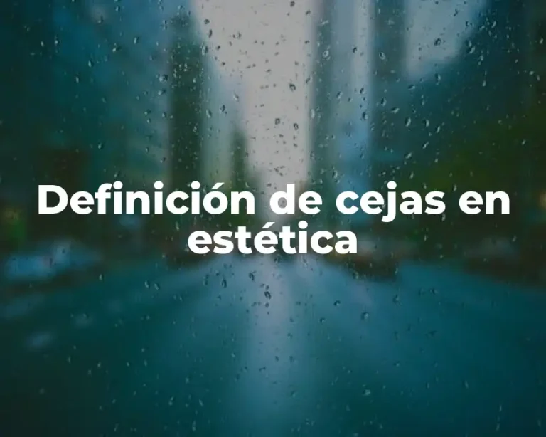 Definición de cejas en estética