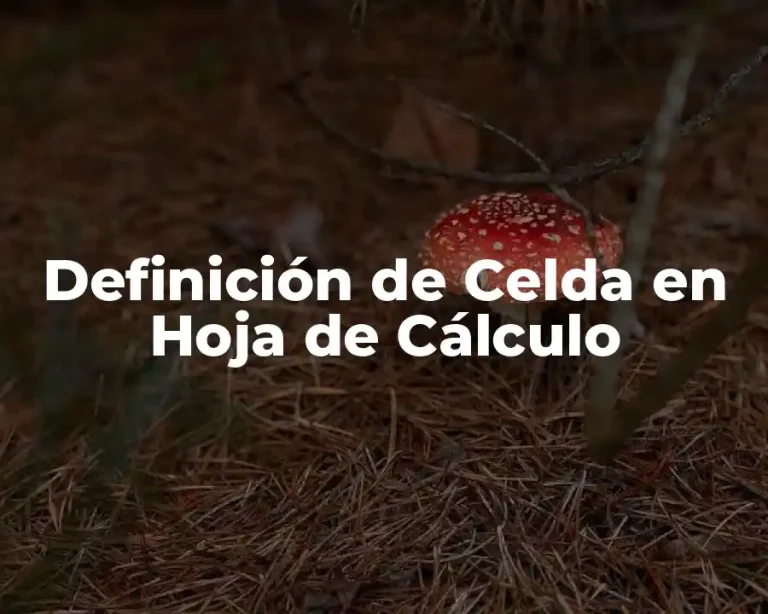 Definición de Celda en Hoja de Cálculo